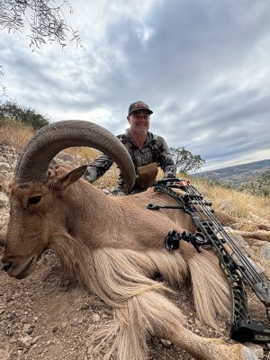Hunting Opportunity